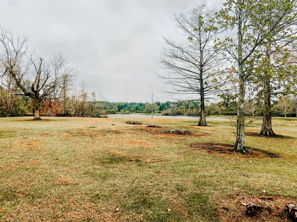 Now that you’ve accomplished your dream, what’s&nbsp;next?